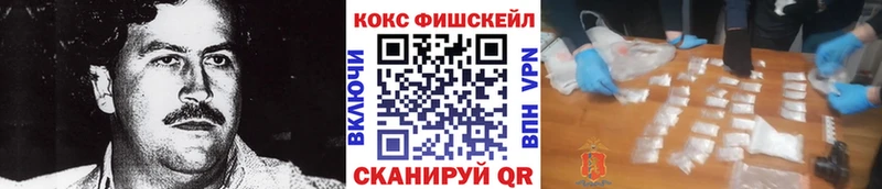 COCAIN FishScale  Купить закладки  Зима 