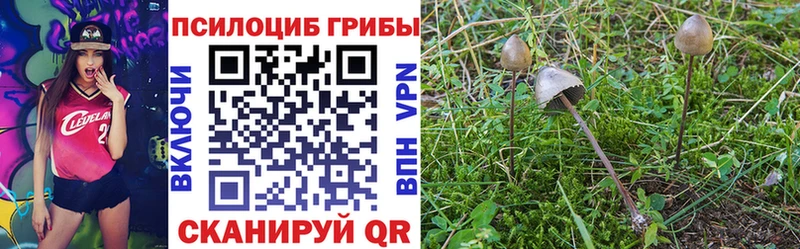 Псилоцибиновые грибы Psilocybe  Купить закладки  Зима 